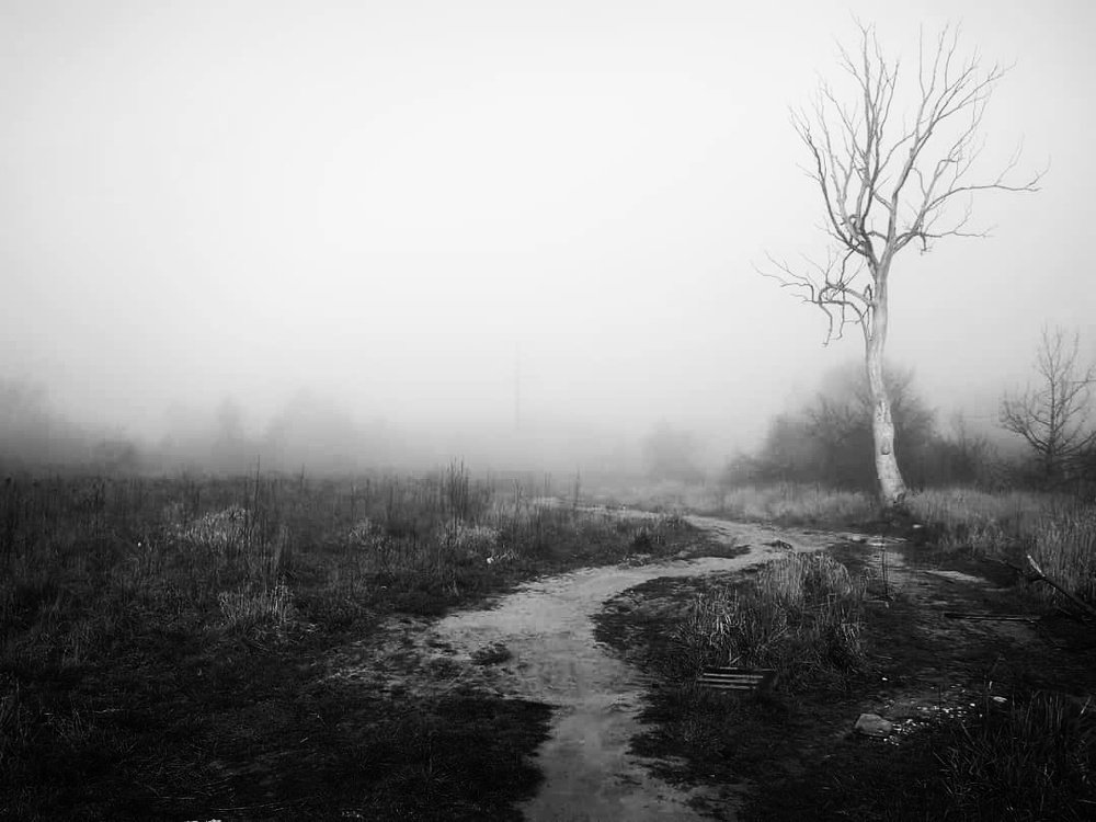 Photograph by 