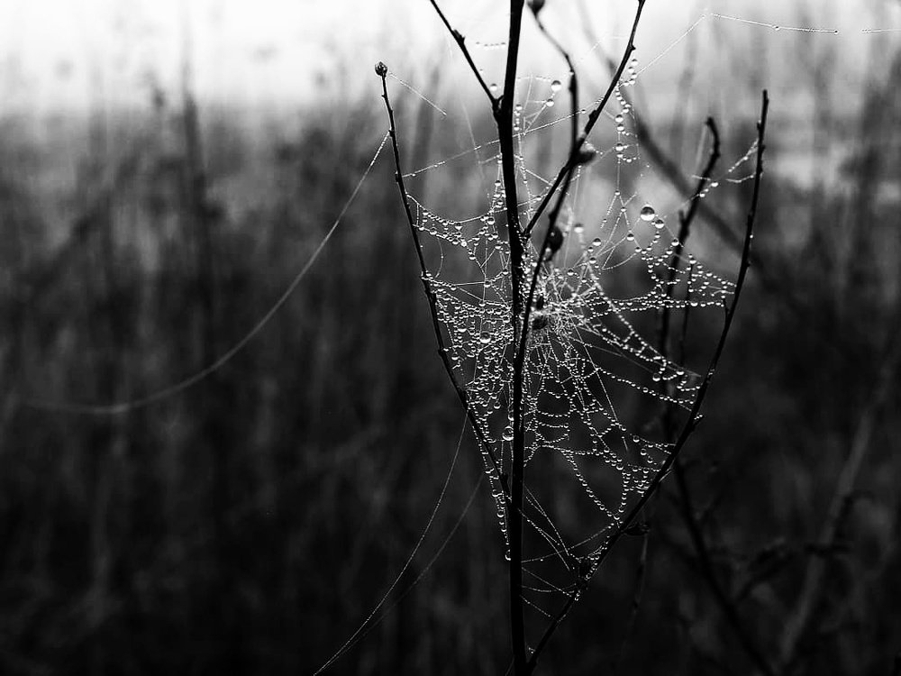 Photograph by 