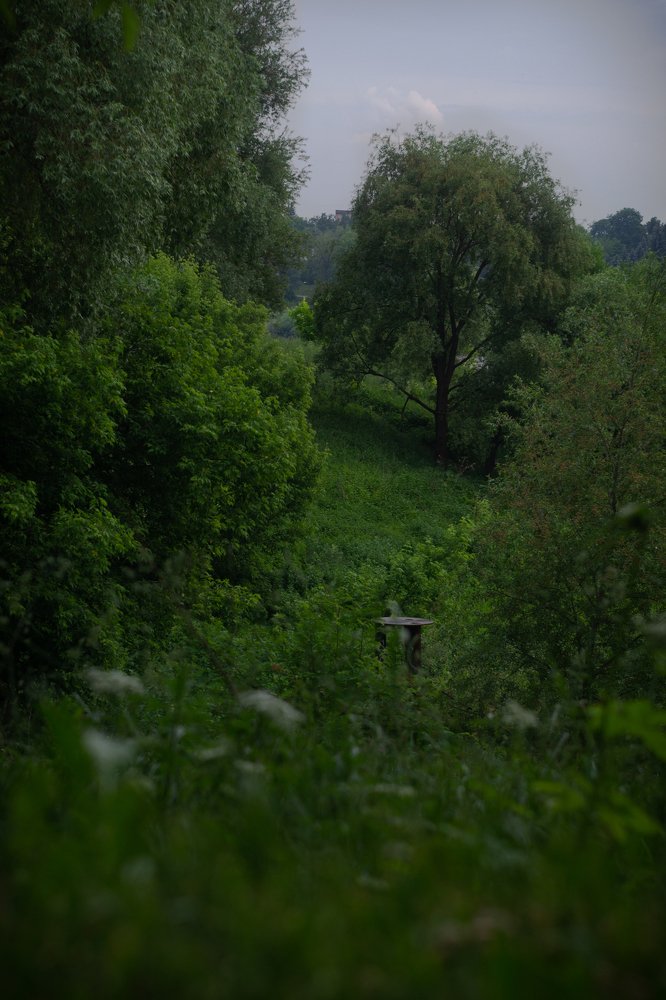 Photograph by Никита