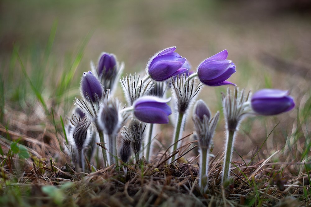 Photograph by Айвар Удрис