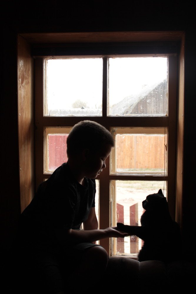 Photograph by Ольга Майстренко