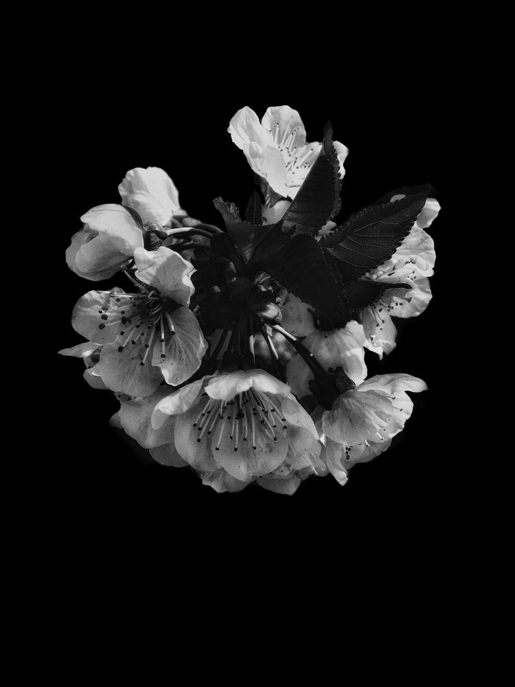 Photograph by Рыжик Алёна