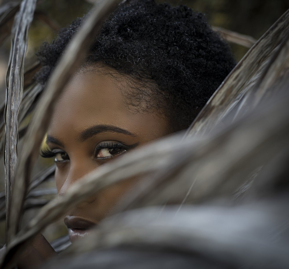Photograph by Wesley McDonald