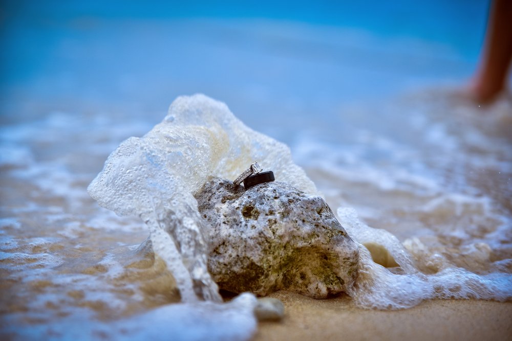Photograph by Wesley McDonald