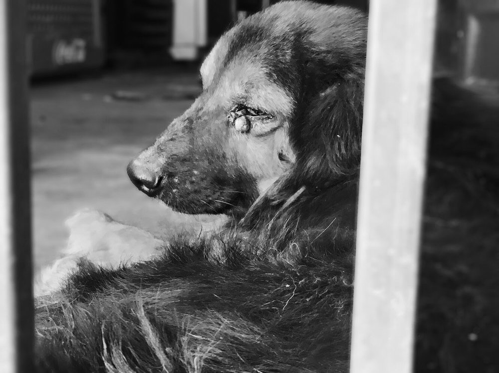 Photograph by Lisseth Erique Aguilar