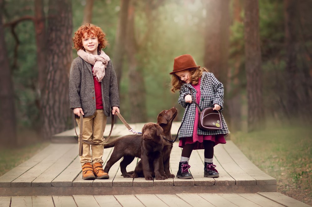 Photograph by Владимир Гордеев