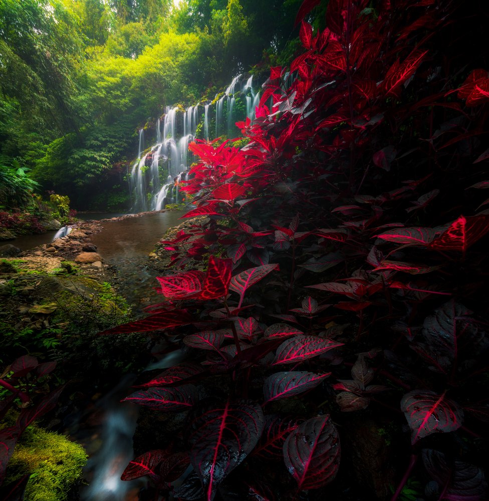 Bhuana Sari Nort Bali Waterfalls