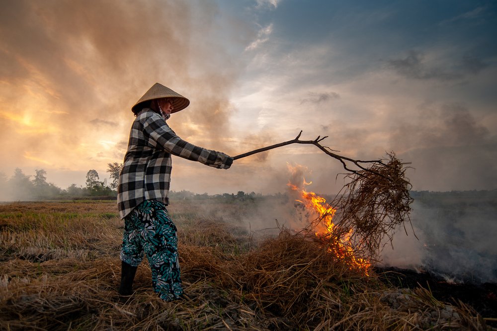 Photograph by Tiến Thịnh Đinh Văn