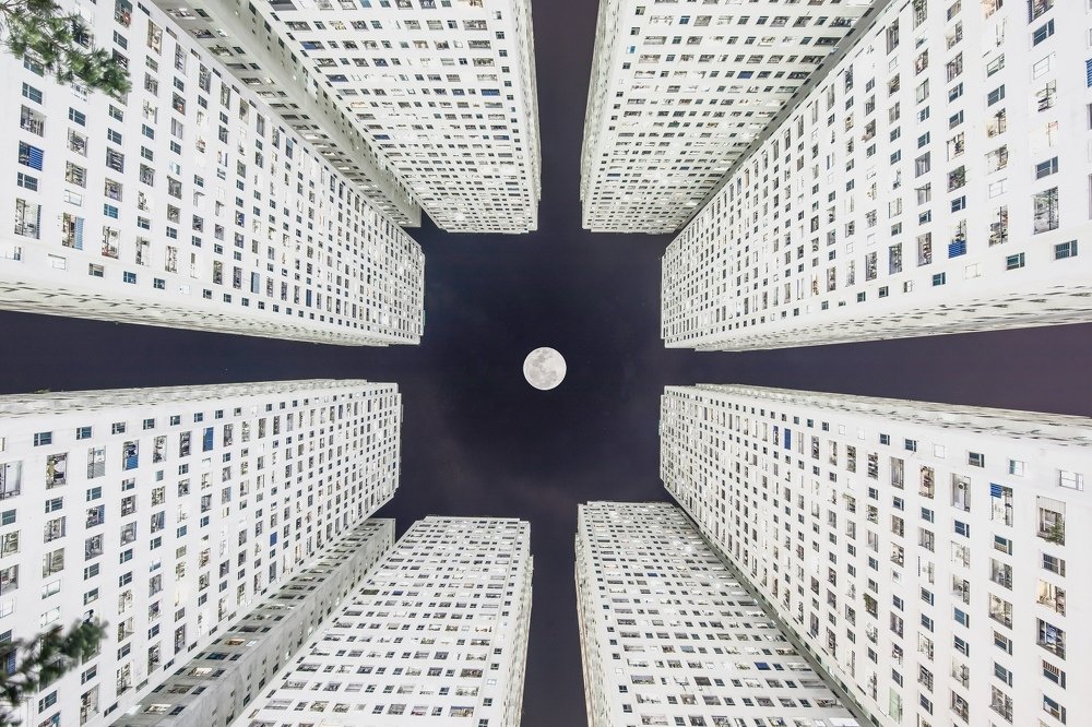 Photograph by Dương Nguyễn