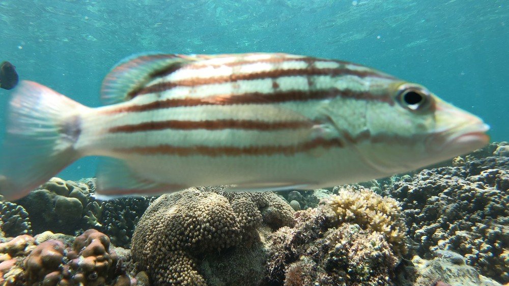 Photograph by Елена Круташинская