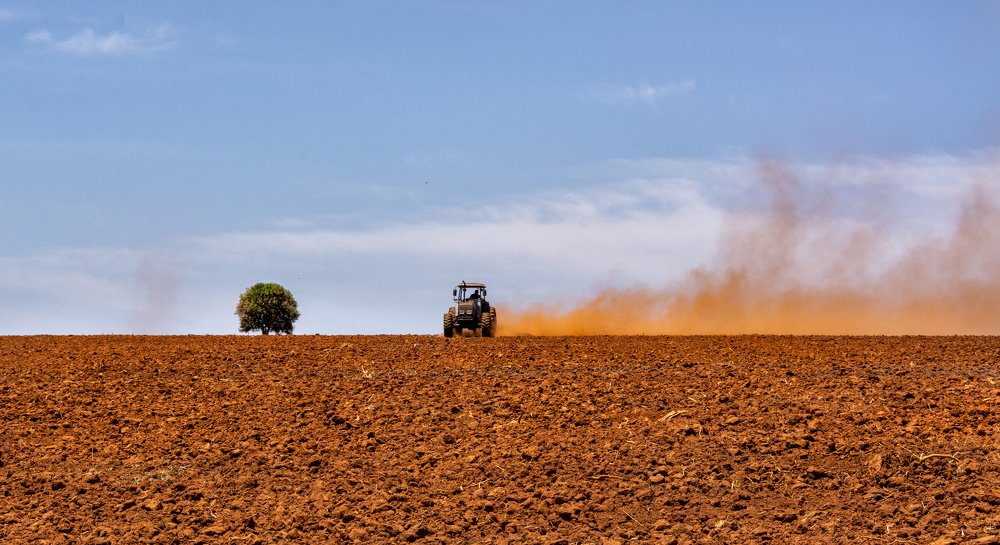 Photograph by Aparecido Donizete de Miranda