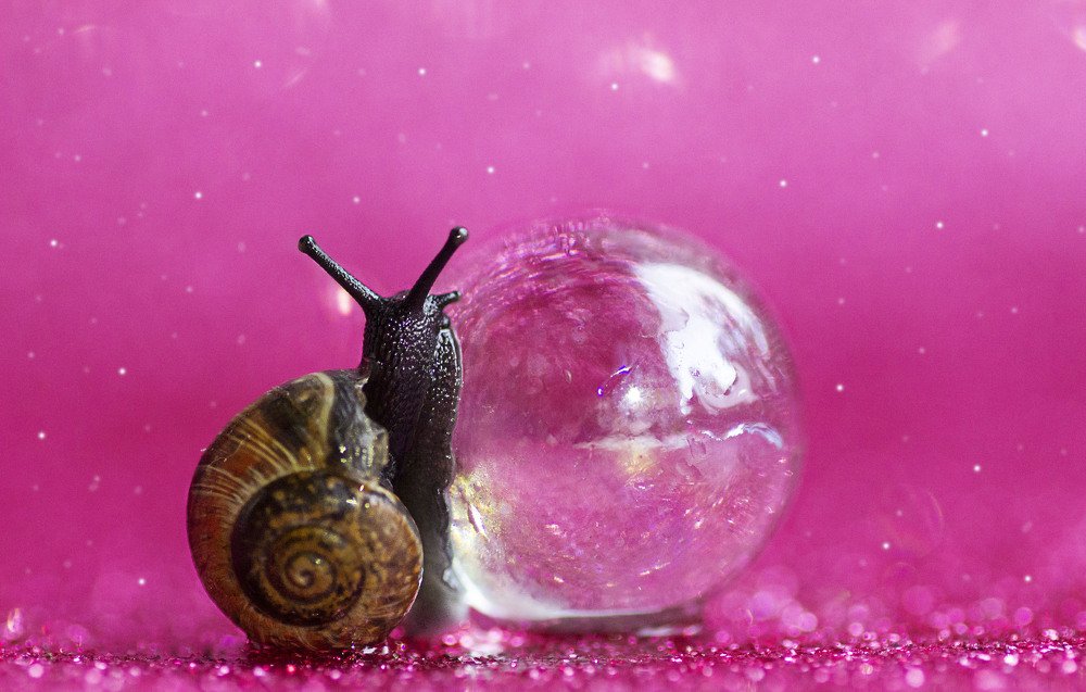 Фотография автора Ольга Лебедева