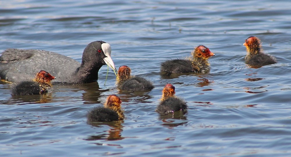 Photograph by Galina Tsmyg