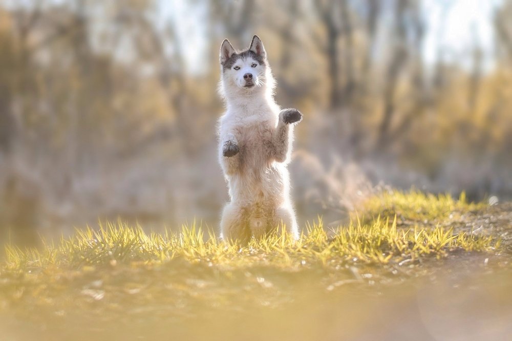 Фотография автора Мария Яропольская