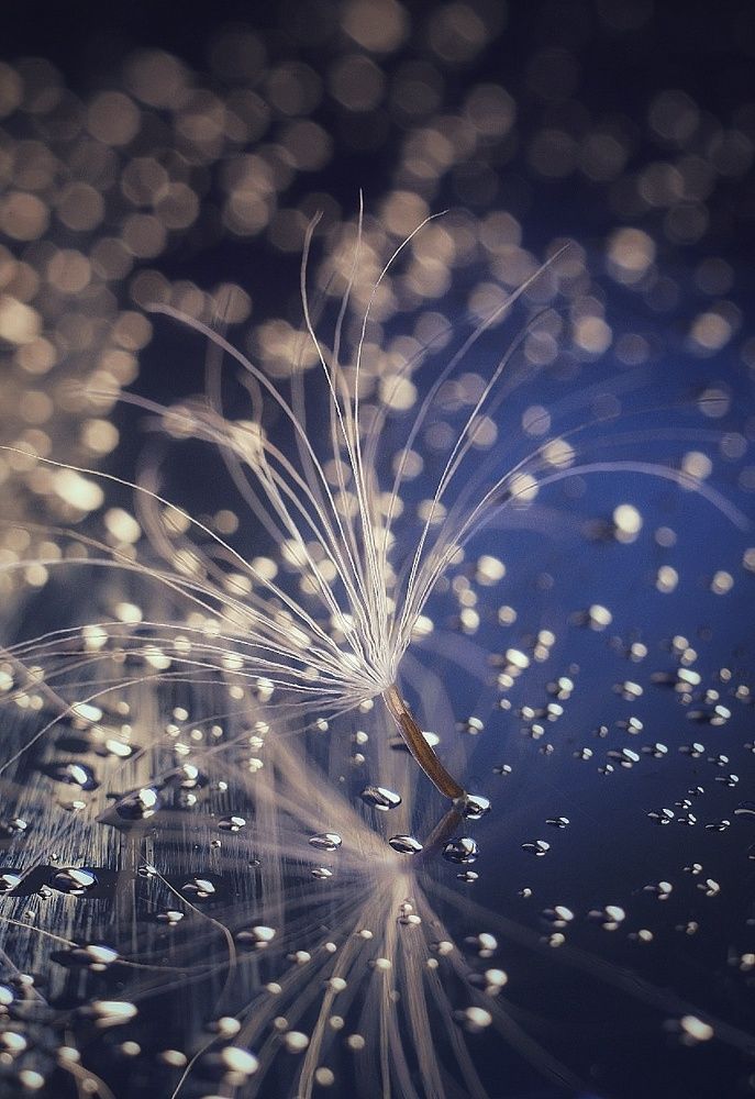 Photograph by Елена Княжева