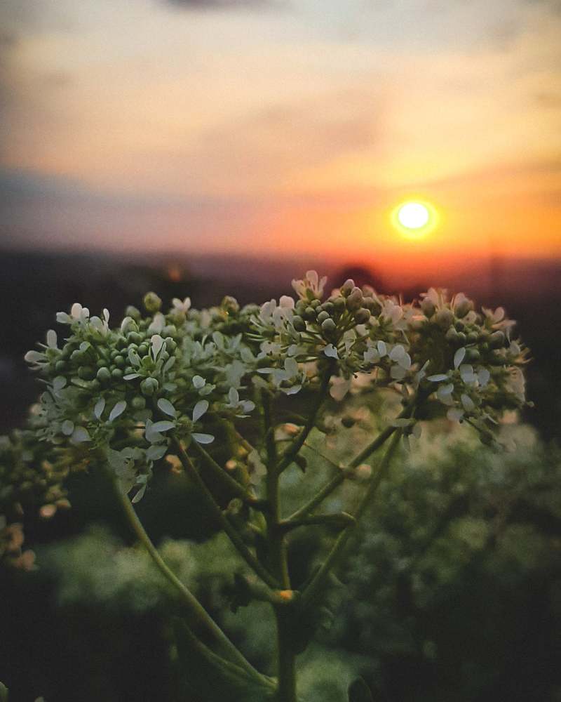 Photograph by Марина Горшкова