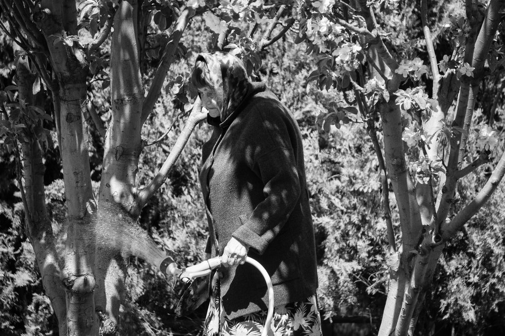 Photograph by Сергей Музраев