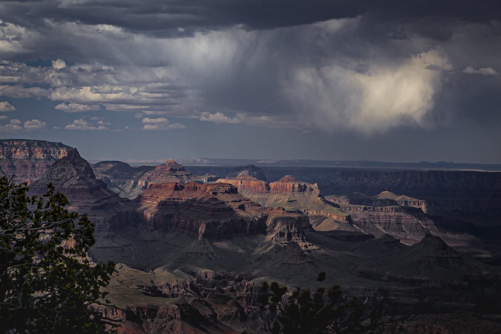 Photograph by Grégory Lissens