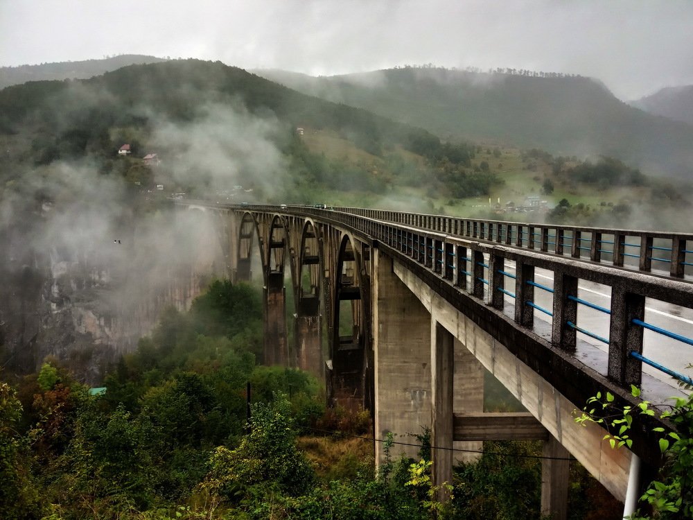 Сквозь туман