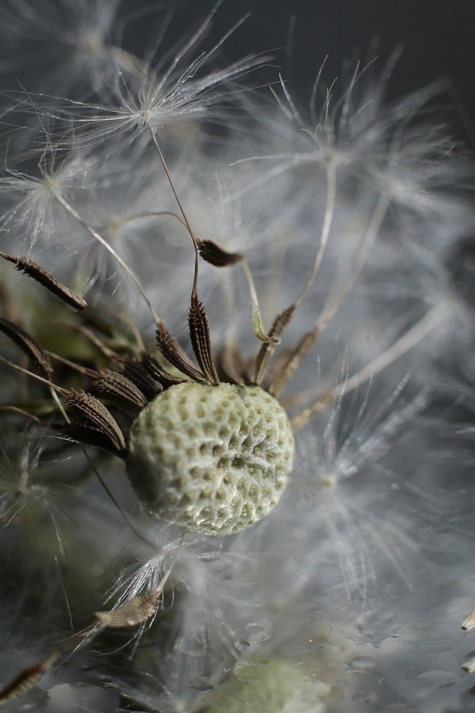 Photograph by Наталия Запорожец