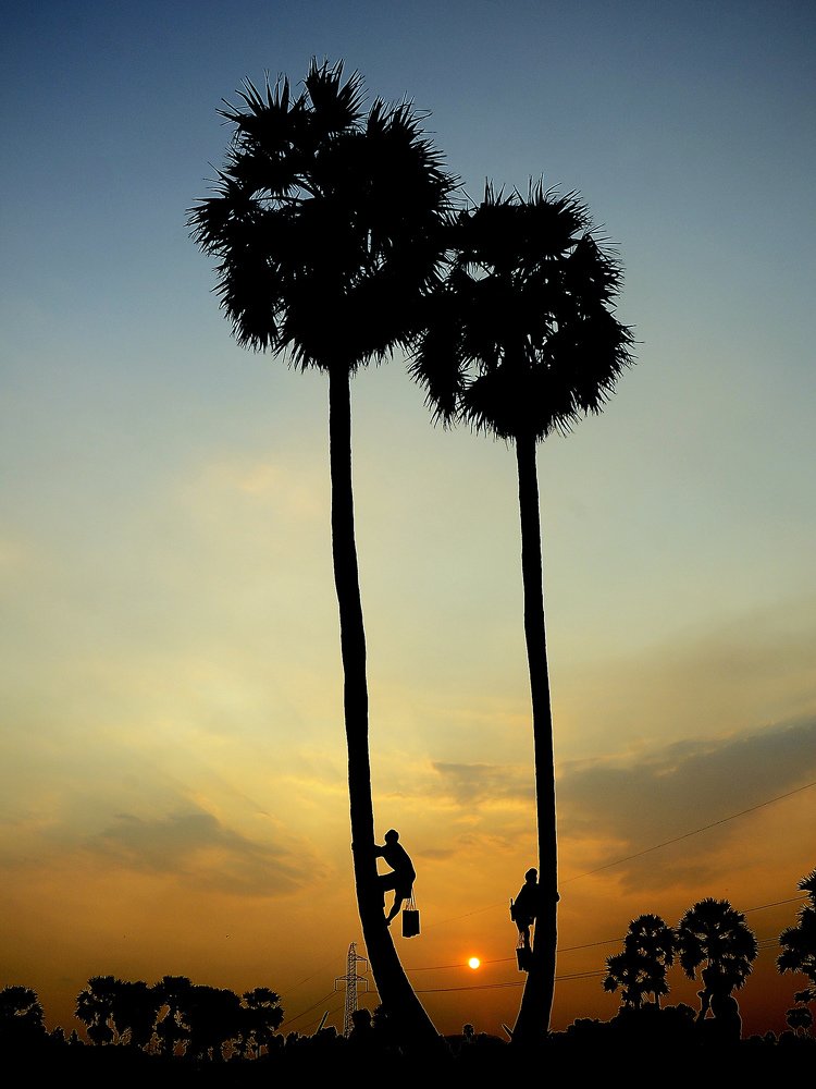 ÁNH SÁNG BÌNH MINH