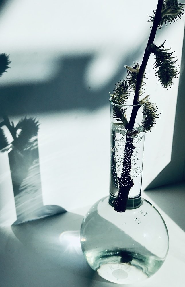 Photograph by Ольга Сунцова