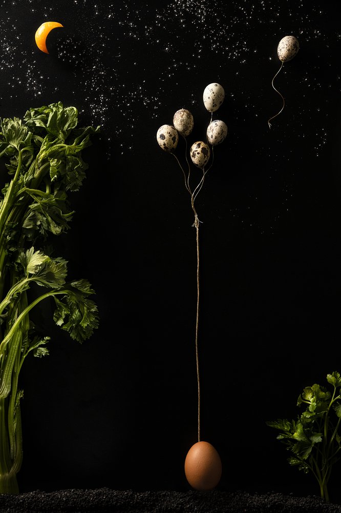 Photograph by Nick Paschalis