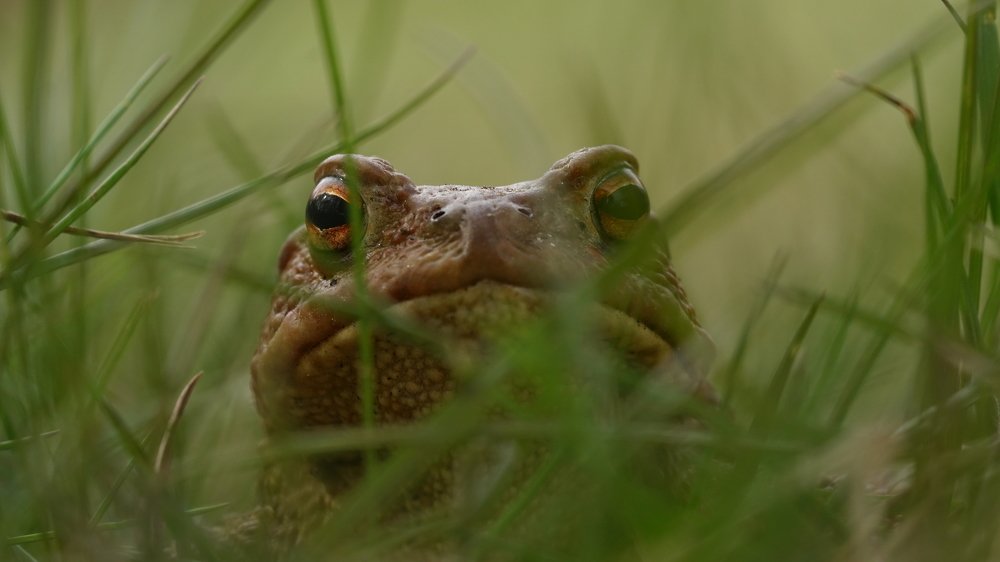 Photograph by Андрей Шартов