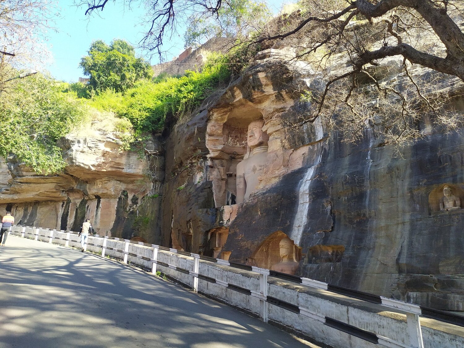 Photo #4569713