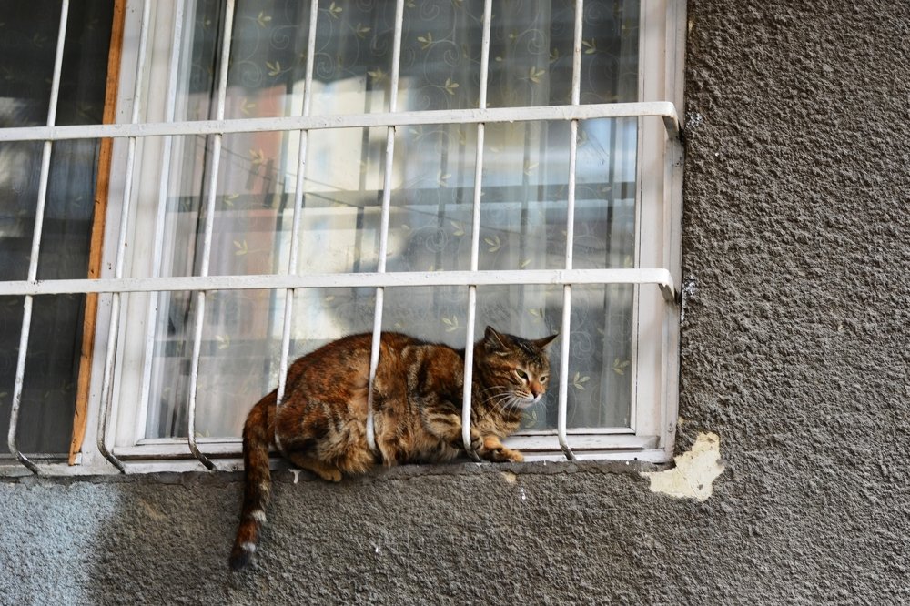 Photograph by Анатолий Орлов