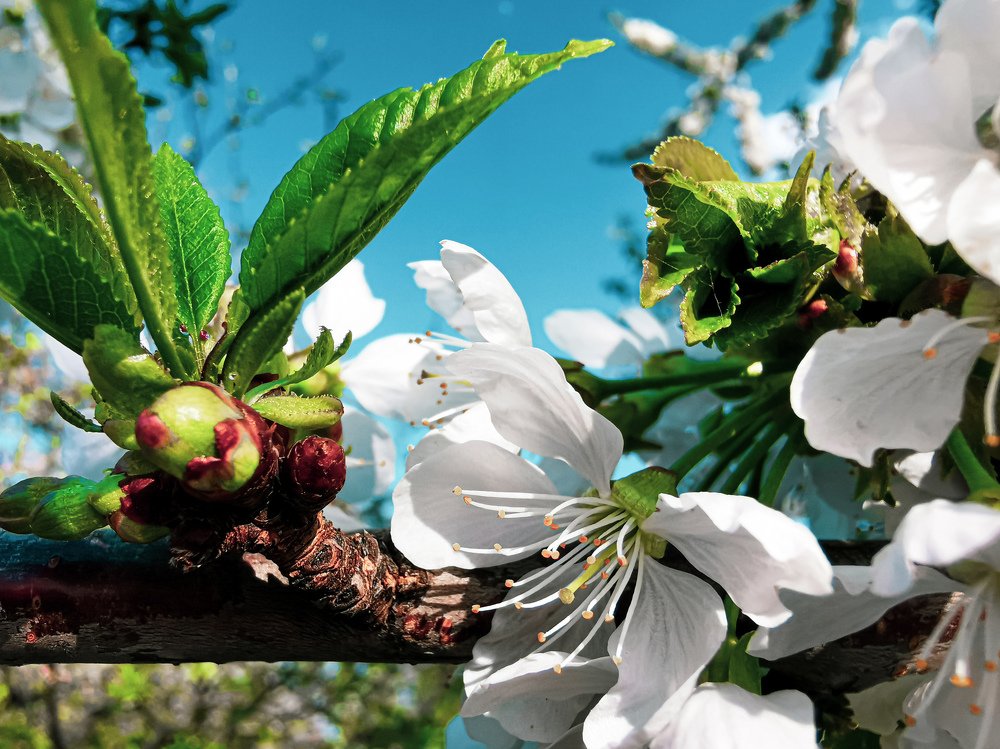 Photograph by Сергей Таранов
