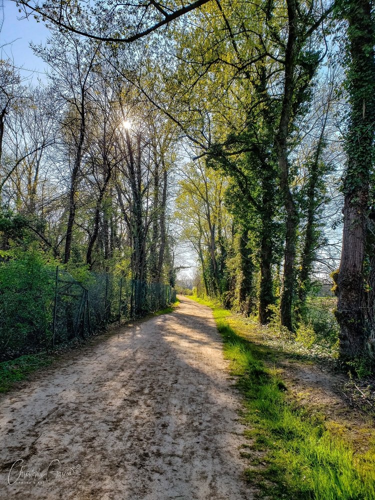 Photograph by GARCIA CHRISTOPHE