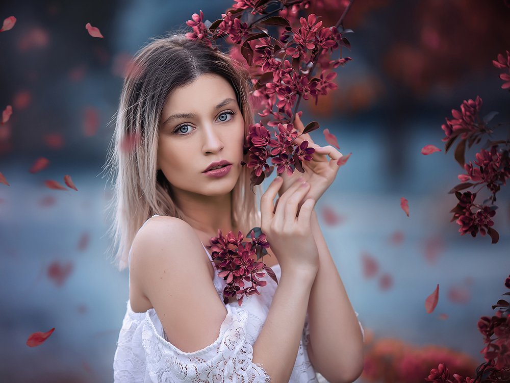 Фотография автора Minerva De Vi