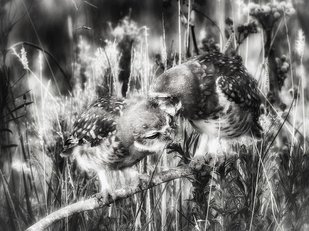 Photograph by mercedes orden