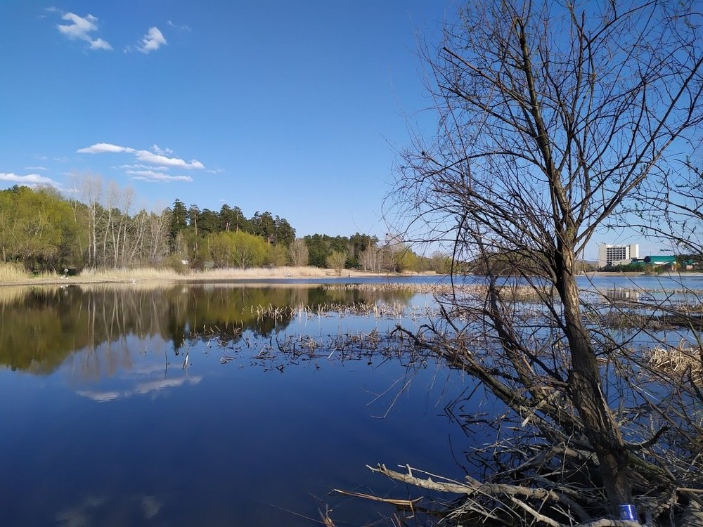 май в разгаре