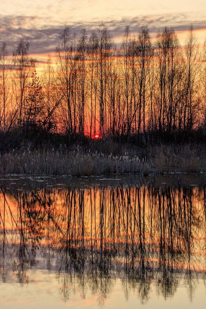 Photograph by Крылов Владимир