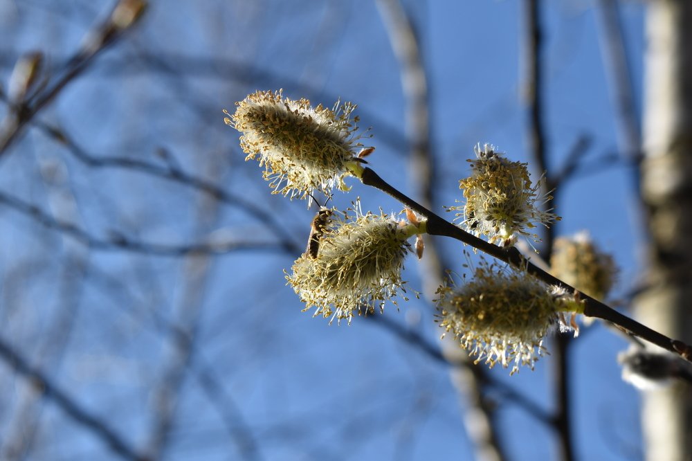 Фотография автора Наталья Сероглазова