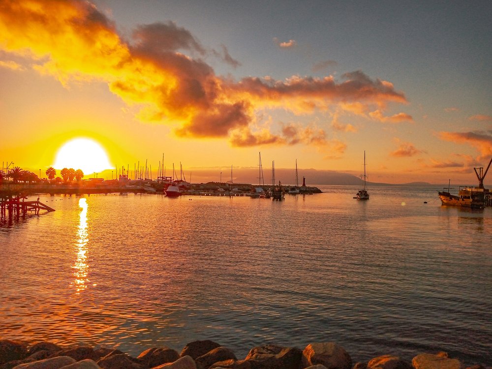 Photograph by Ronald