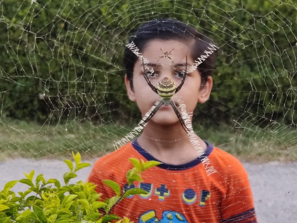 Photograph by vivek Kumar