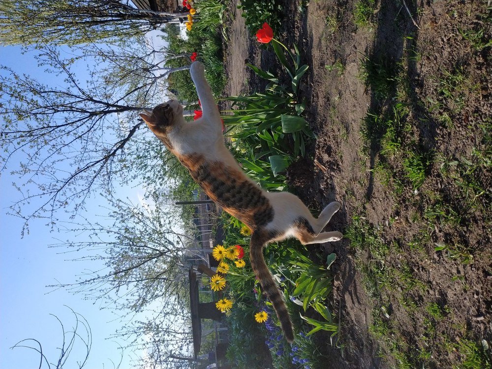 Photograph by Анастасия Кудина