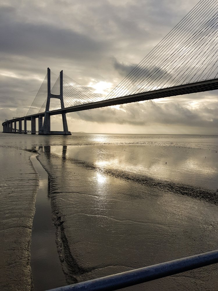 Vasco da gama bridge