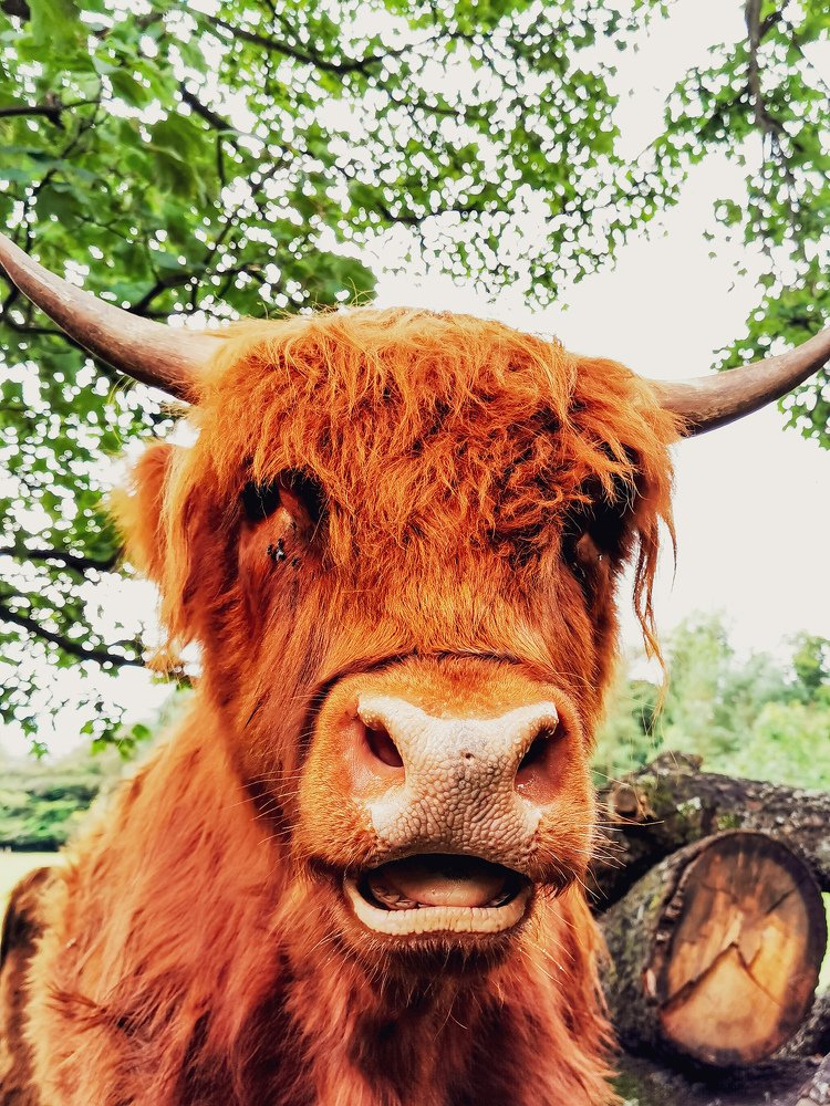 Up close and personal