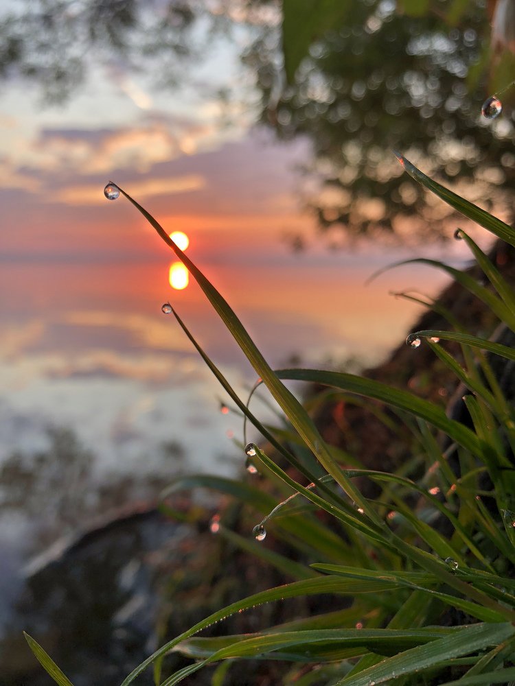 Photograph by Анатолий Андреев