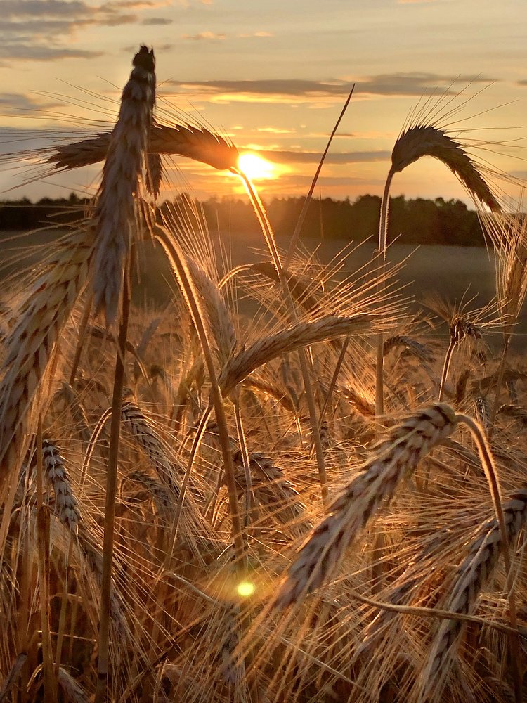 Photograph by Анатолий Андреев