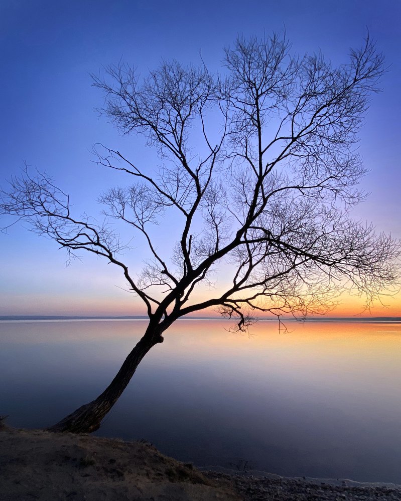 Photograph by Анатолий Андреев