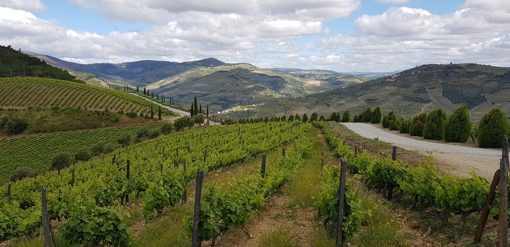 Фотография автора Jorge Correia