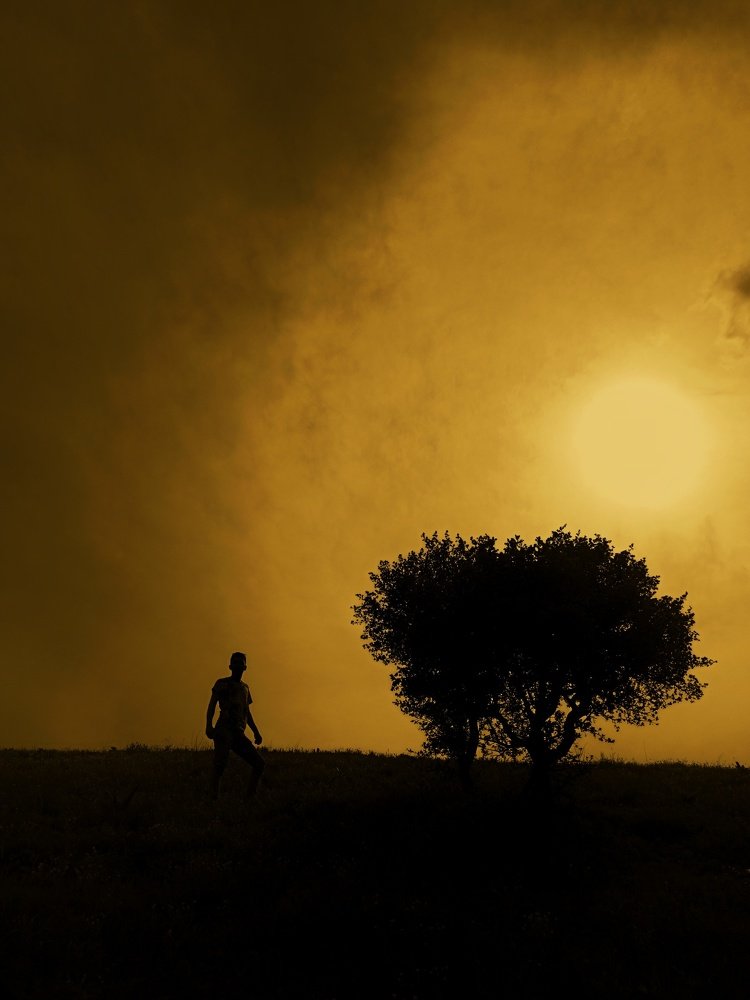 Photograph by Milad qazi