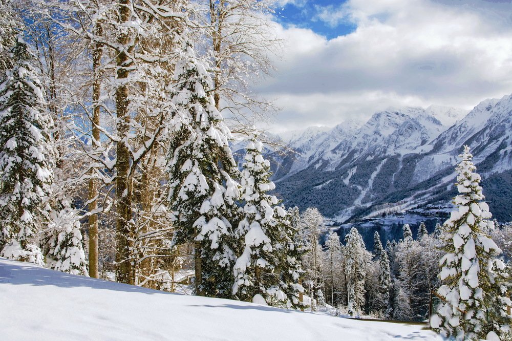 Красная Поляна