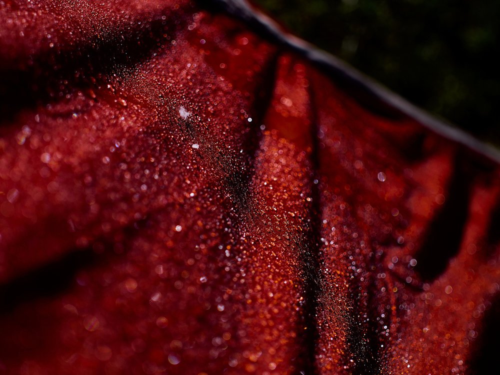 Фотография автора Игорь Игоревич