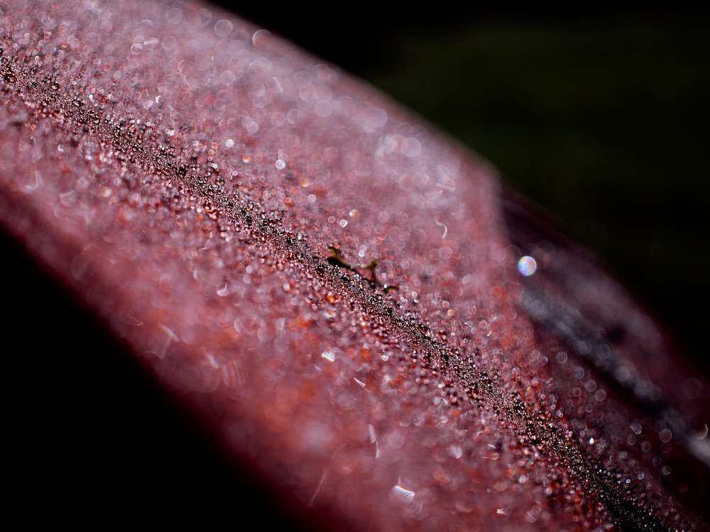 Фотография автора Игорь Игоревич